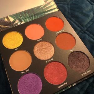 Venice Fling Palette